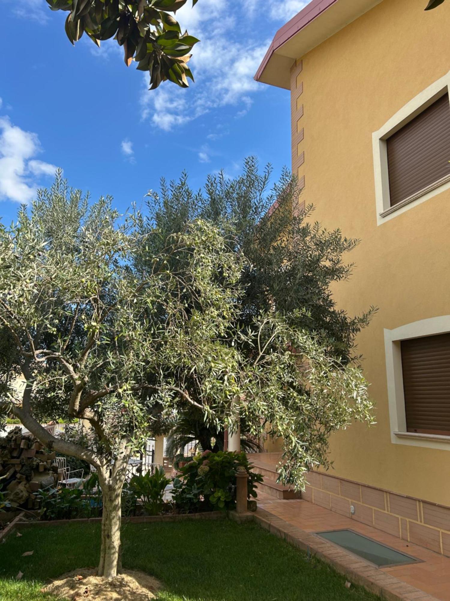 B&B Villa Maria Catanzaro Eksteriør bilde